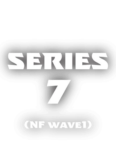 ヴェノムバイトニンジャ